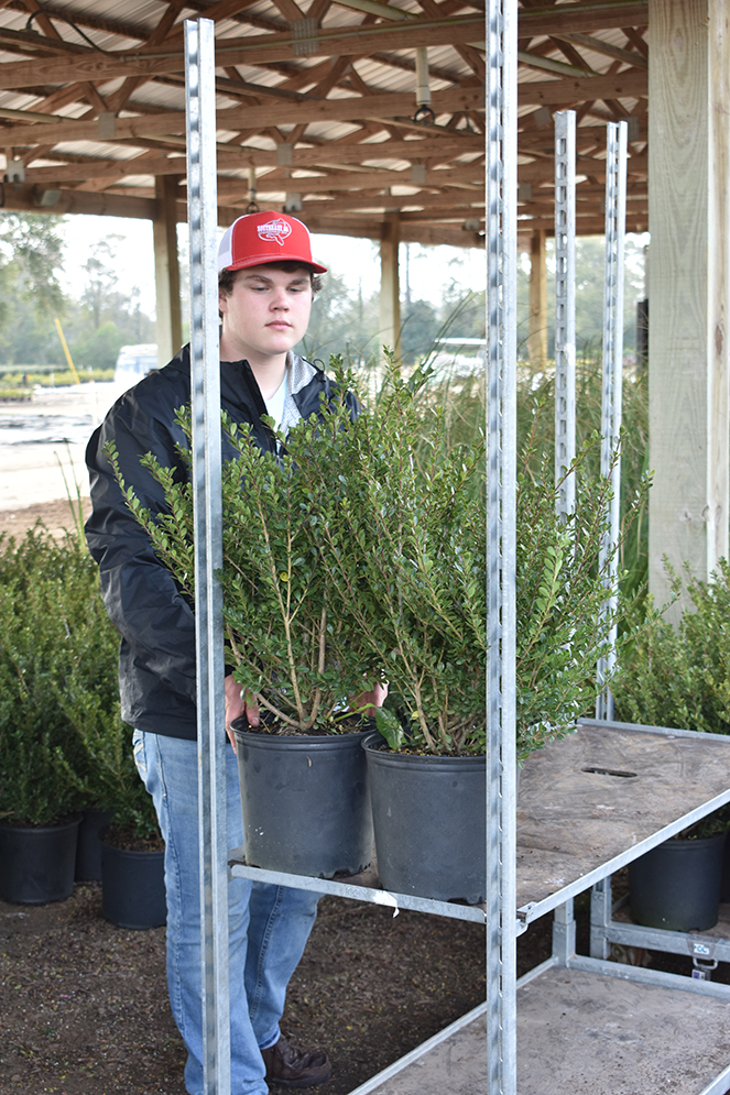 6-WBL-nursery