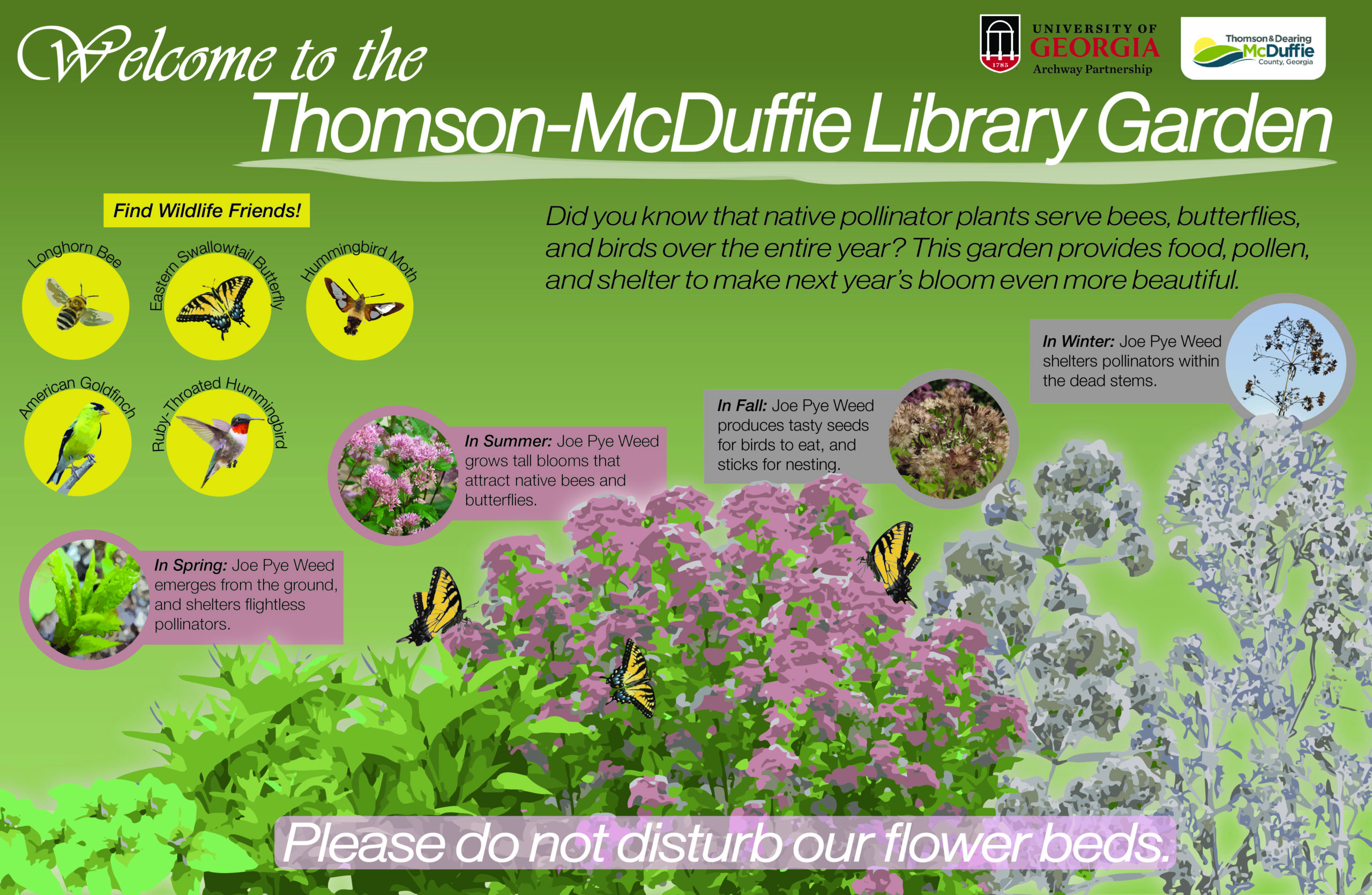 A design of a pollinator garden for the Thomson-McDuffie Library. The design shows options for a variety of plants.